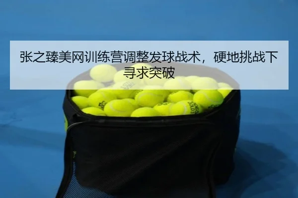 zhang-zhi-zhen-mei-wang-xun-lian-ying-tiao-zheng-fa-qiu-zhan-shu-ying-di-tiao-zhan-xia-xun-qiu-tu-po-3-873.jpg